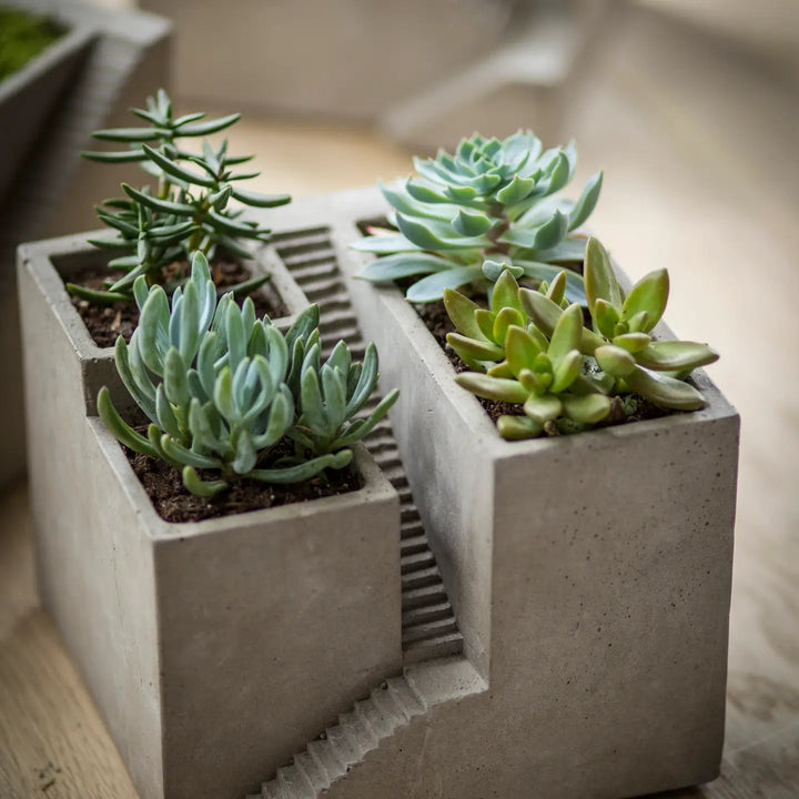 Style I Architectural Cement Cube Planter showing stepped channels