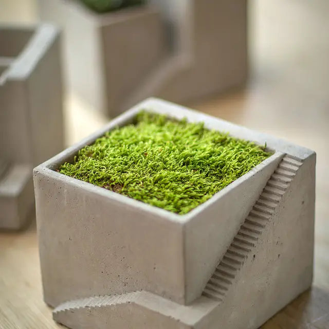 Style II Architectural Cement Cube Planter with compact greenery