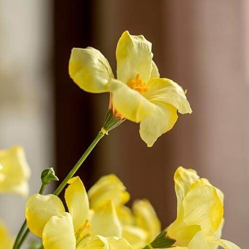 Artificial Flower Silk Tung Flower Stem in Yellow 31" Tall