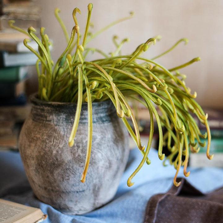 Artificial Plant Green Sarracenia Stem 12" Tall