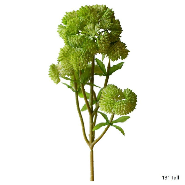 Artificial Succulent Cauliflower Stem Set 13" Tall