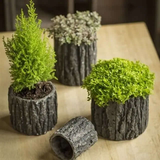 Bark-textured concrete planters grouped with green foliage on pale wood