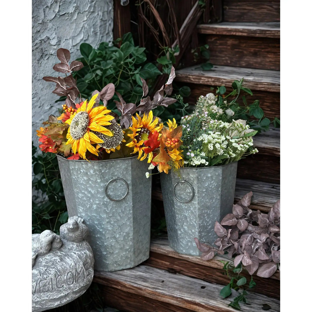 Beveled Zinc Planters with Ring Handles filled with autumn flowers