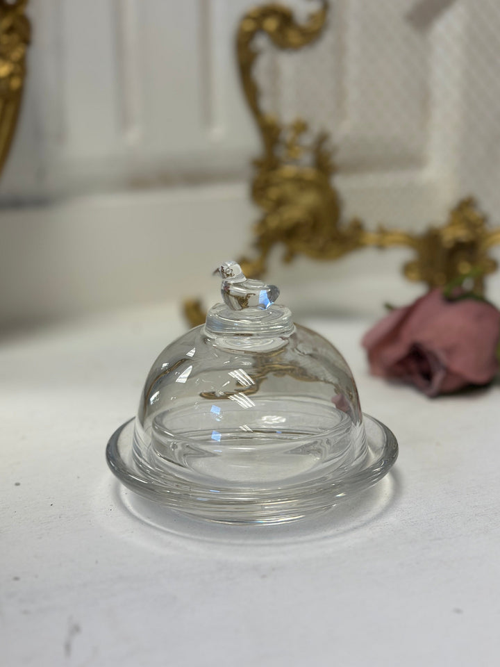 Bird-Topped Glass Cloche displayed on a pale tabletop