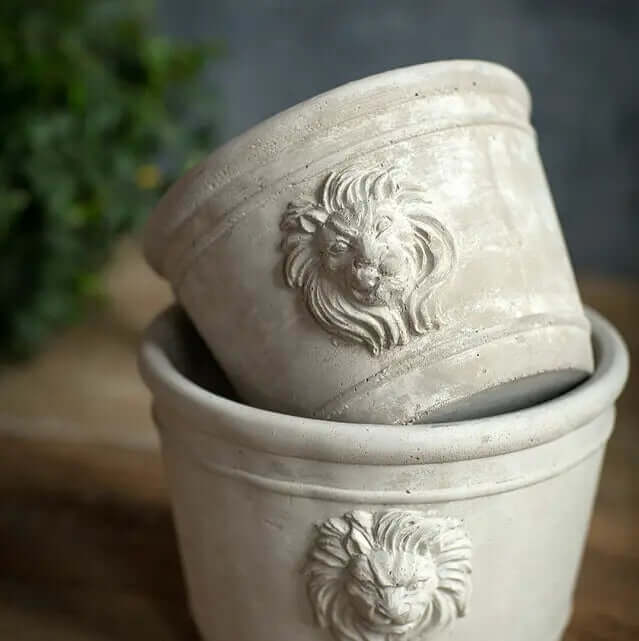 Round Cast Cement Lion Head Planters styled on a sunlit ledge