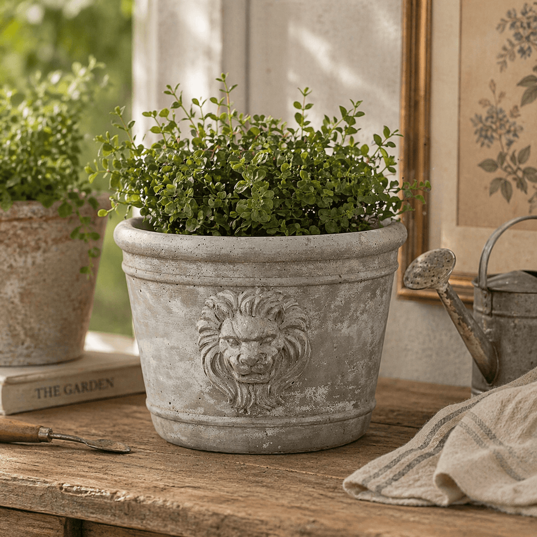 Round Cast Cement Lion Head Planter filled with greenery