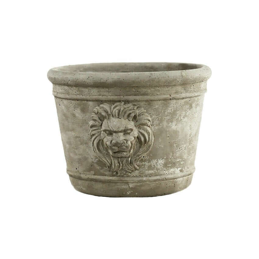 Round medium Cast Cement Lion Head Planter against a plain background