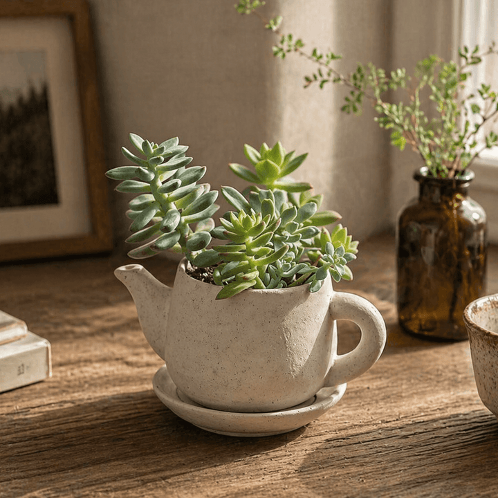 Concrete "Teapot" Planter
