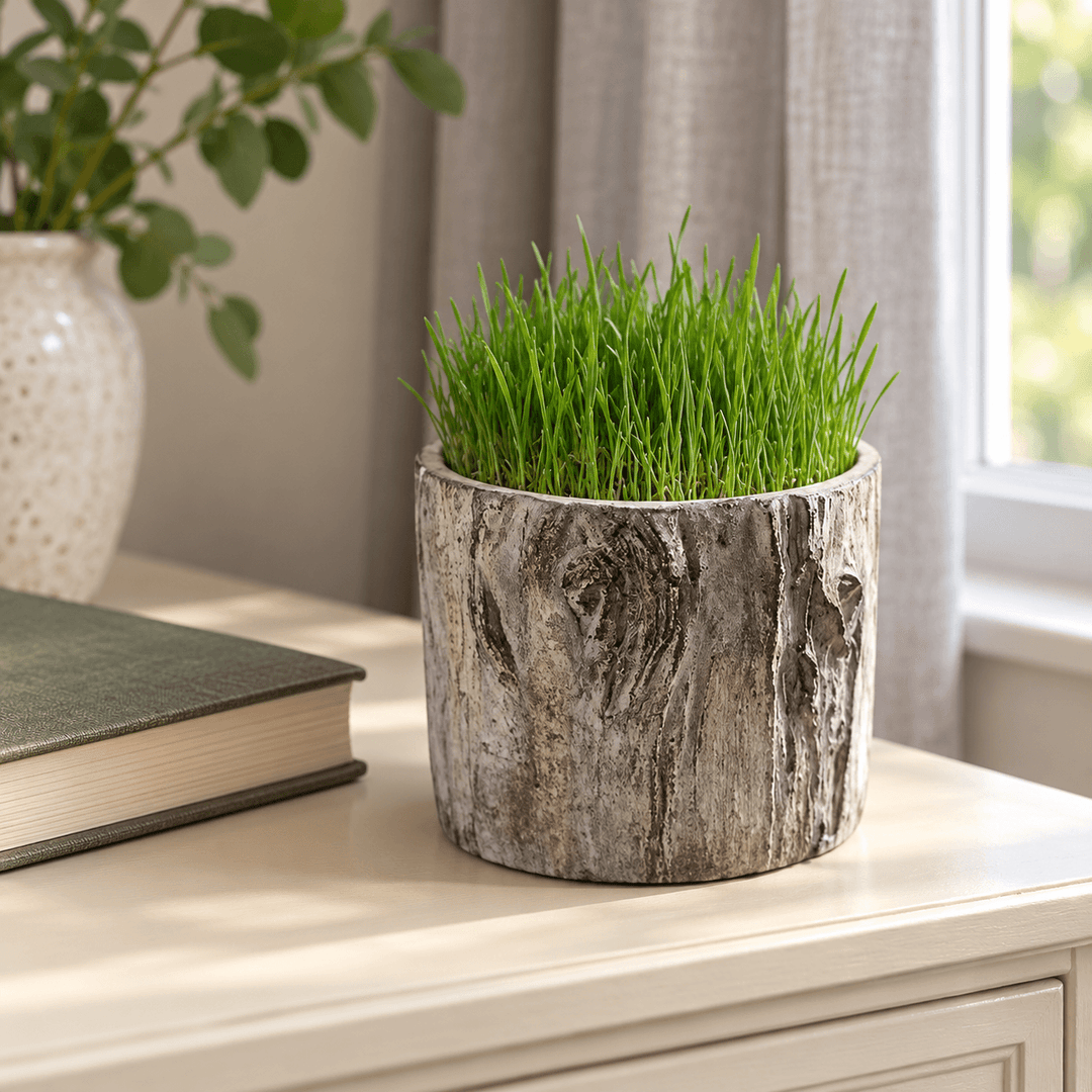 Tree trunk cement planter with fine grass beside an indoor window