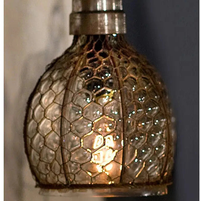 Close view of the heavy glass and rusted chicken-wire cage