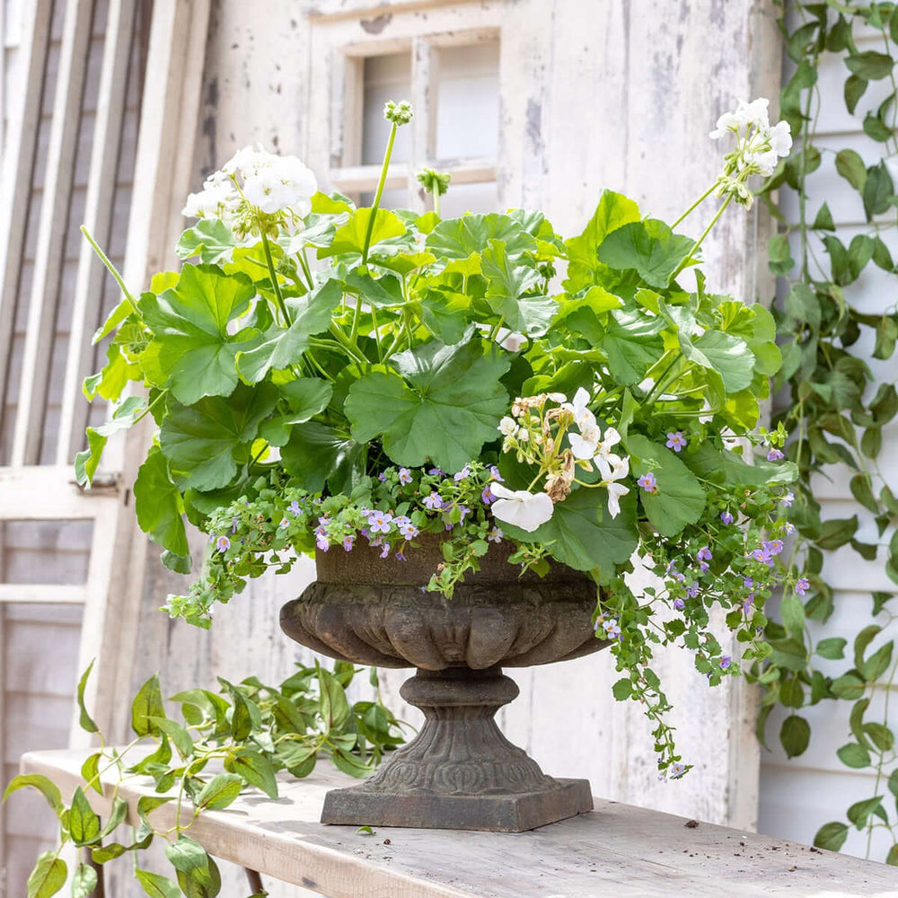 Classic Cast Iron Garden Urn with Weathered Patina Finish showcasing vibrant green foliage and flowers on a rustic outdoor ledge.