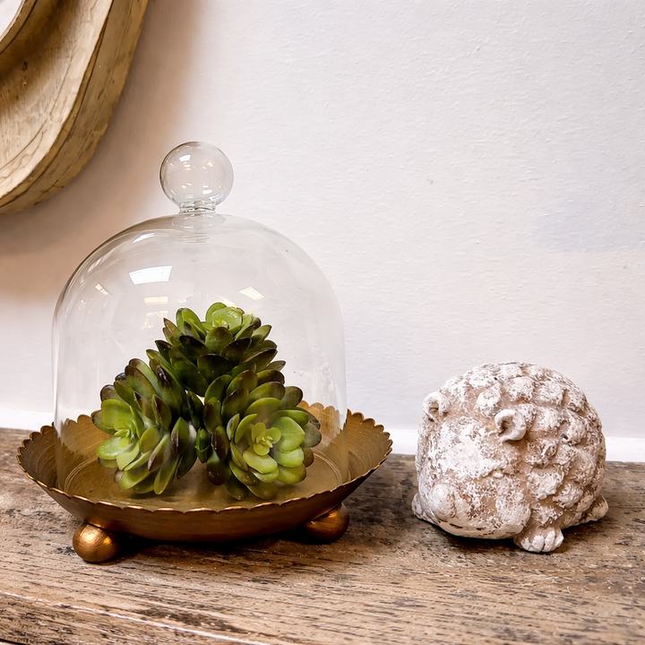 Gold metal plate and clear cloche candle holder