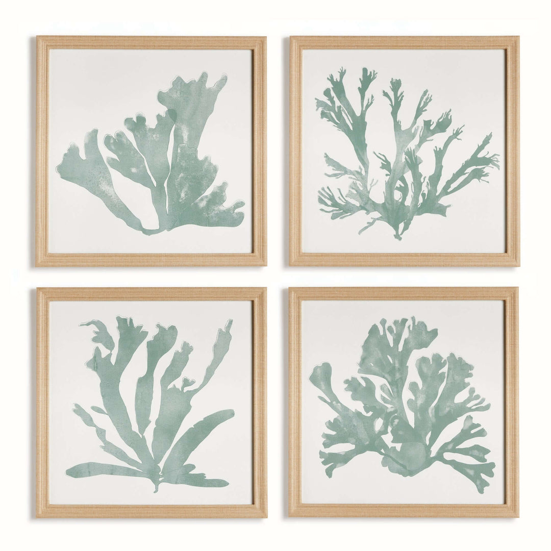 Coastal framed coral silhouette prints in natural wood frames, set of 4, with soft sea-glass green on white backdrop.