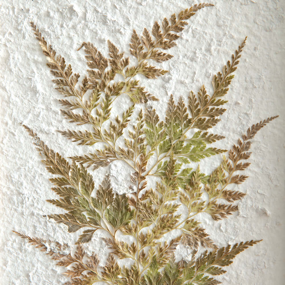 Cottagecore Pressed Botanical Fern on Stand against textured paper, highlighting nature-inspired decor with preserved fern fronds.