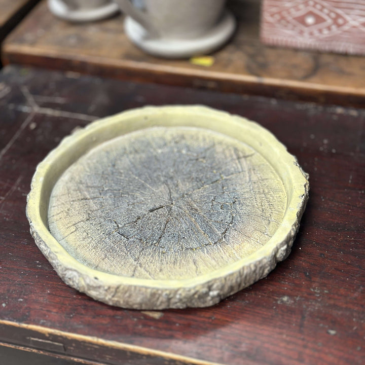 Cement Log Dish