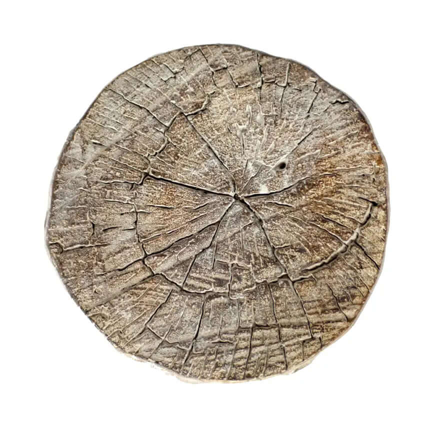 Cement Log 12" Slab