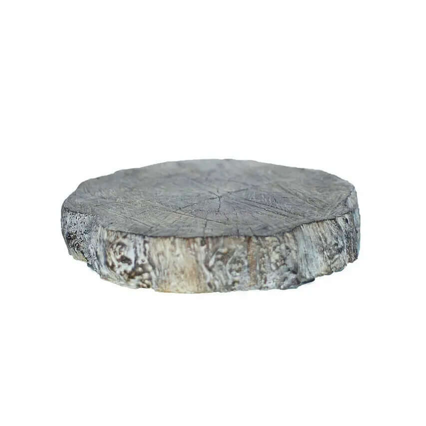 Cement Log 12" Slab