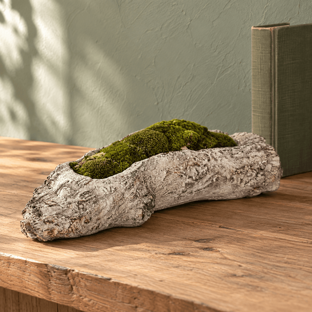 Cement log planter with moss on an oak console against a sage wall