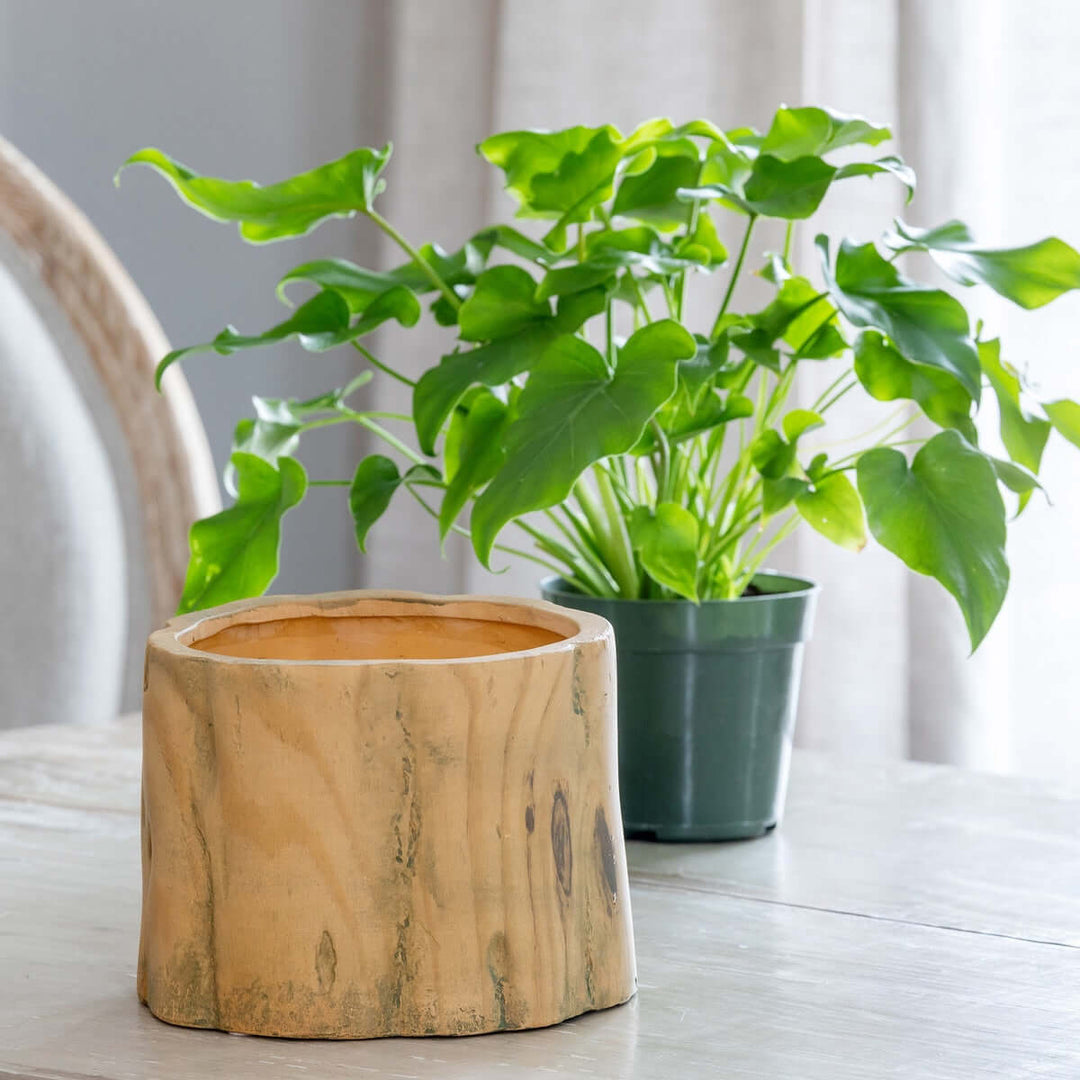 Faux Wood Tree Stump Planter with plant in the background, showcasing a natural wood-like design for gardens or home decor.
