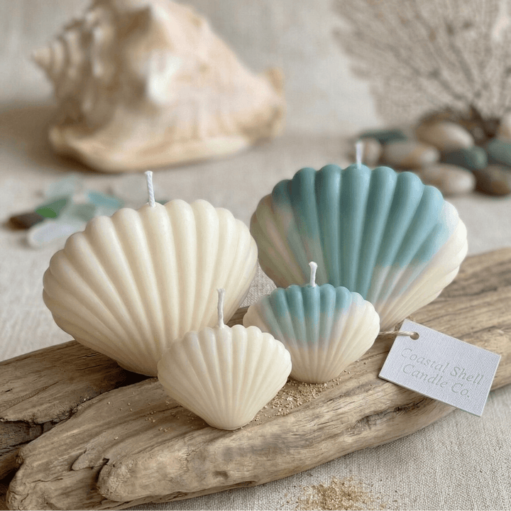 Four seashell-shaped candles in cream and blue-green gradient tones, arranged on driftwood with a small tag reading Coastal Shell Candle Co. A real beach-themed setting is visible in the blurred background with a seashell, stones, and coral.