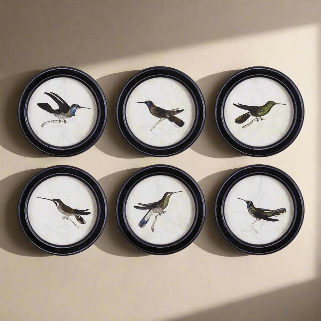 Framed vintage hummingbird prints set of 6, showcasing detailed illustrations of hummingbirds in flight.
