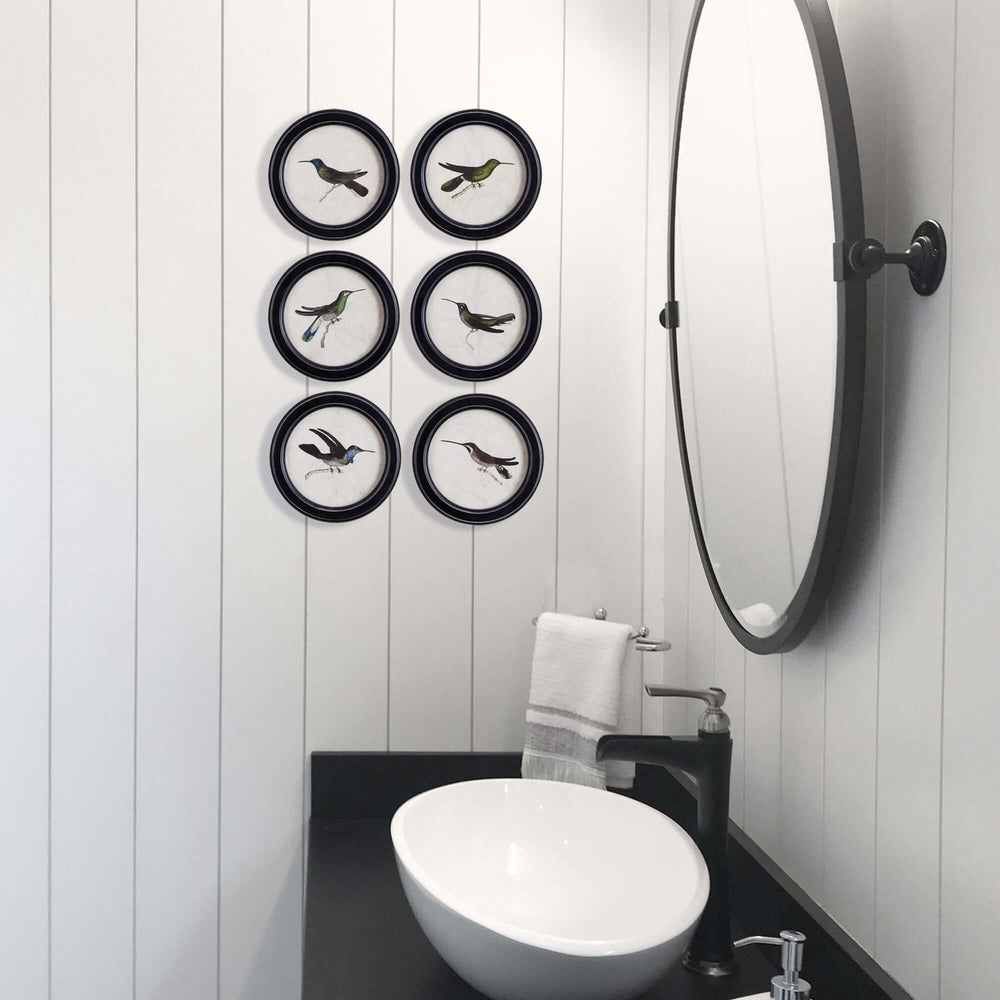 Framed vintage hummingbird prints set of 6 displayed in a contemporary bathroom setting.