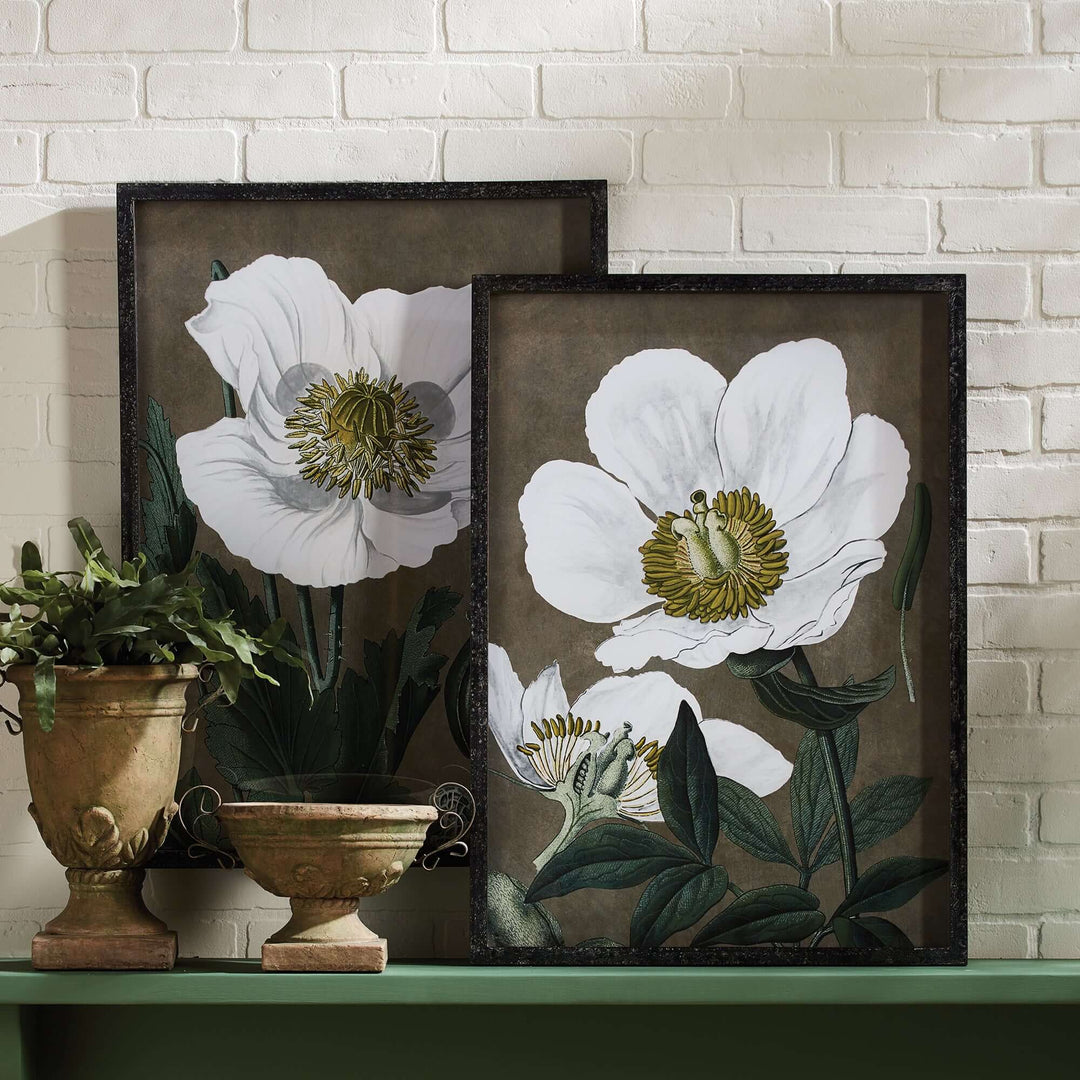 Framed vintage poppy wall art prints showcasing delicate white poppies in antique style, perfect for botanical decor.
