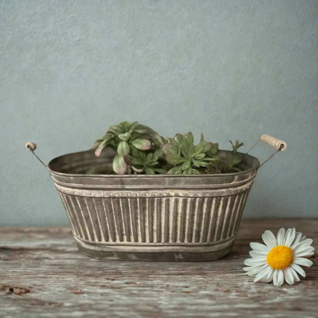 Galvanized Iron Tray with Wood Handles styled as a low planter
