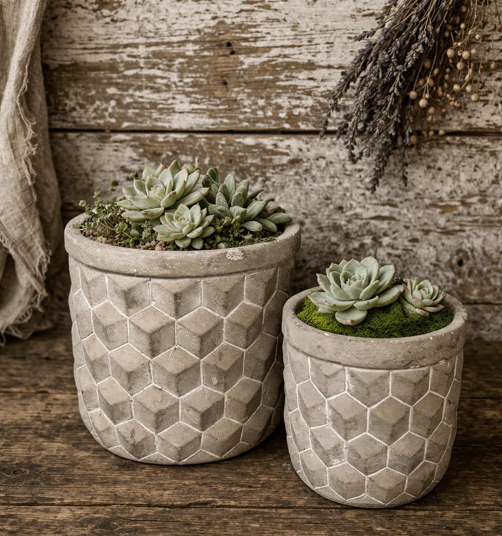 Geometric Cement Planter