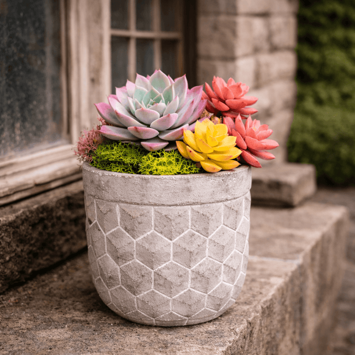 Geometric Cement Planter