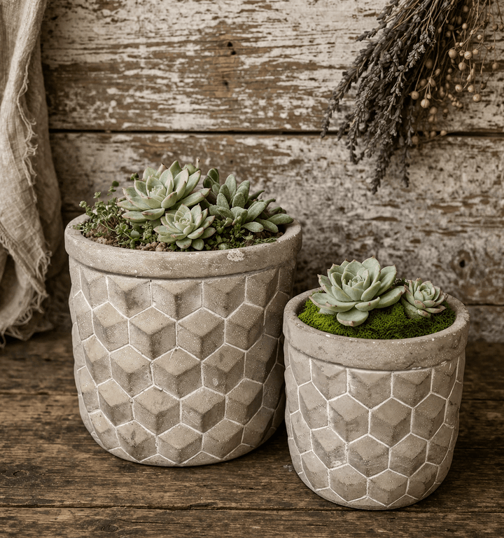 Geometric Cement Planter