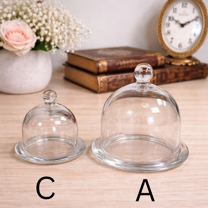 Glass Display Cloches with Bases labeled by style and size
