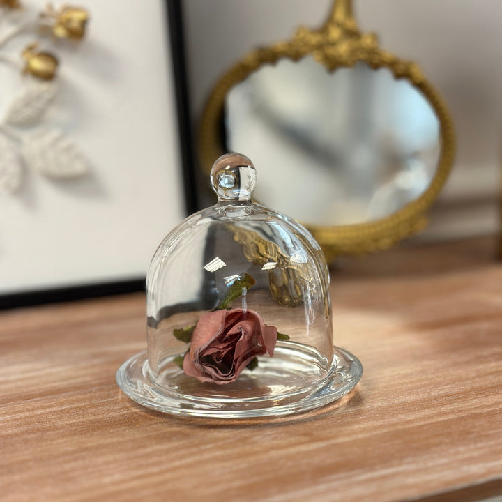 Large Glass Display Cloche with Base beside a smaller matching cloche