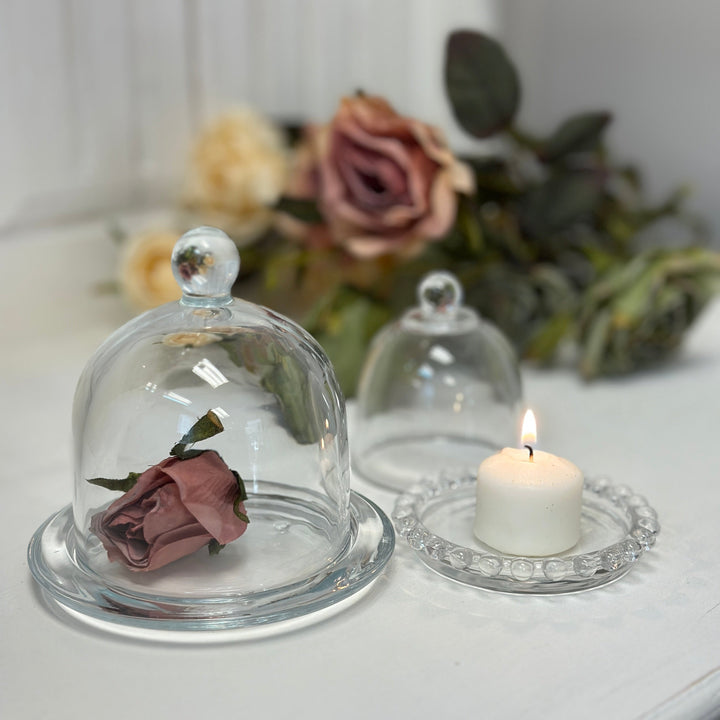 Glass Display Cloche presenting an individual dessert