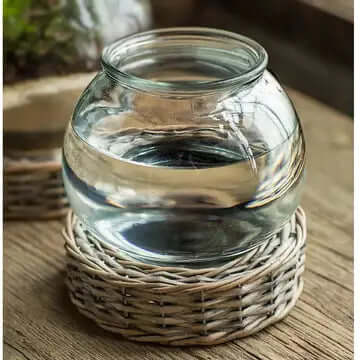 Glass Terrarium Jar with Wicker Base shown with clear water