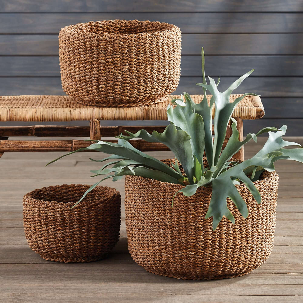 Handwoven seagrass storage baskets set of 3 with green plant, showcasing earthy elegance and natural craftsmanship.