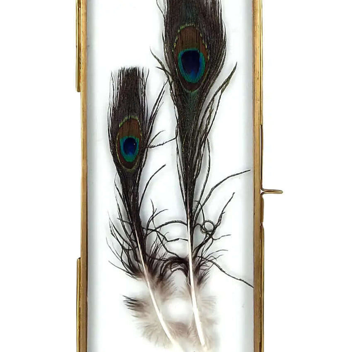 BRASS FRAME WITH HANGING LOOPS 4" X 10"