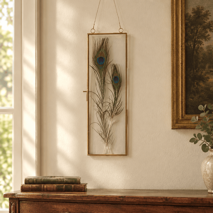 Narrow brass frame displaying illustrative peacock feathers on a cream wall above a wooden console