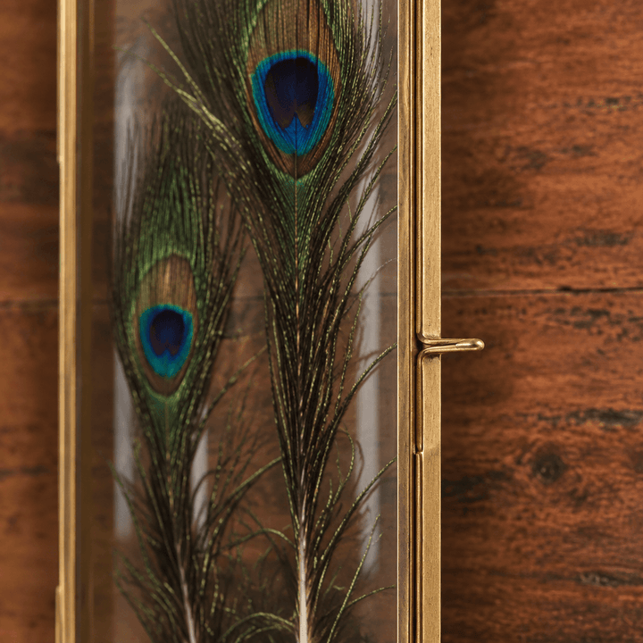Close view of the brass frame edge and side latch with a feather visible through the transparent panel