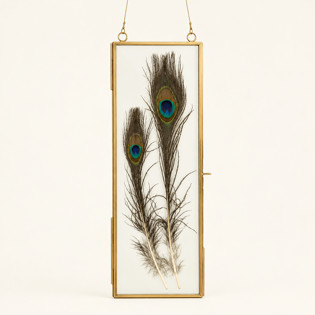 Slender brass hanging display frame with illustrative peacock feathers against an ivory studio background