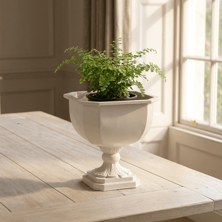 Octavia Soft White iron chalice planter holding a potted fern on a pale wooden table in natural window light.