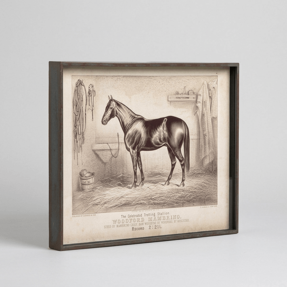 Angled view of one racehorse portrait from the six-piece set, showing its aged black frame and cream-toned artwork.