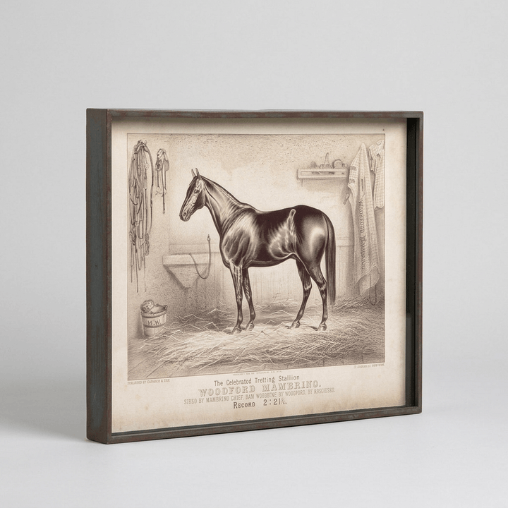 Angled view of one racehorse portrait from the six-piece set, showing its aged black frame and cream-toned artwork.