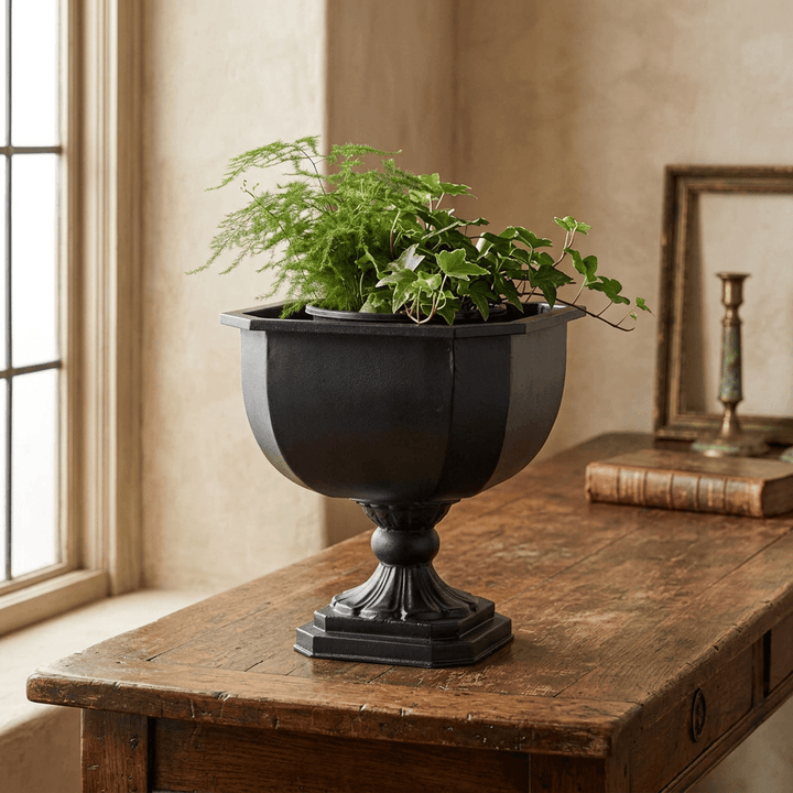 Octavia black faceted iron chalice planter with greenery on a wooden console beside a window.