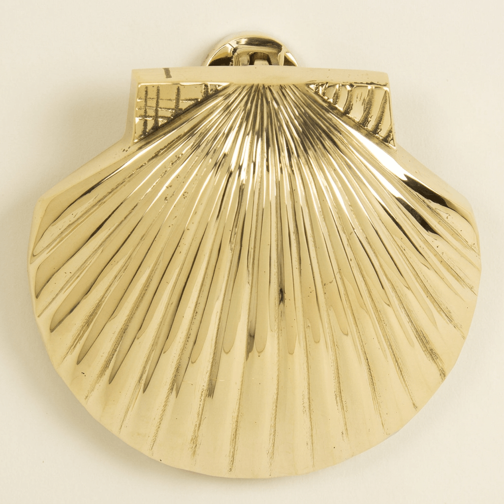 Polished brass scallop shell door knocker with radiating ridges on an ivory studio background.