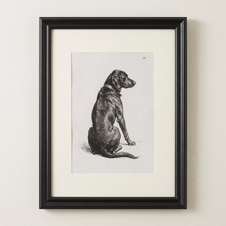Devoted Heart Framed Dog Portrait with a black frame and cream border against a warm off-white studio wall.