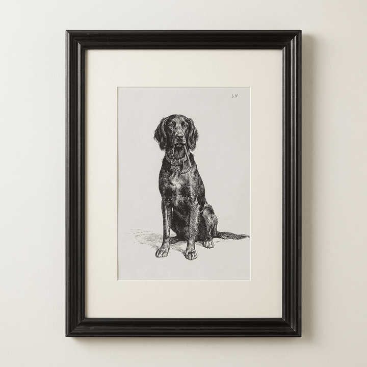 Black-framed dog portrait with a cream border against a warm off-white studio wall.