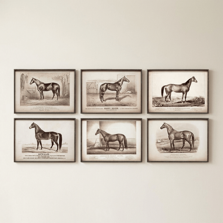 Six racehorse portrait prints in aged black frames arranged in two rows of three on an ivory wall.