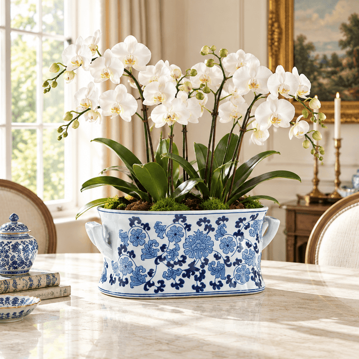 Blue and white floral porcelain lotus planter styled with white orchids on a pale stone tabletop