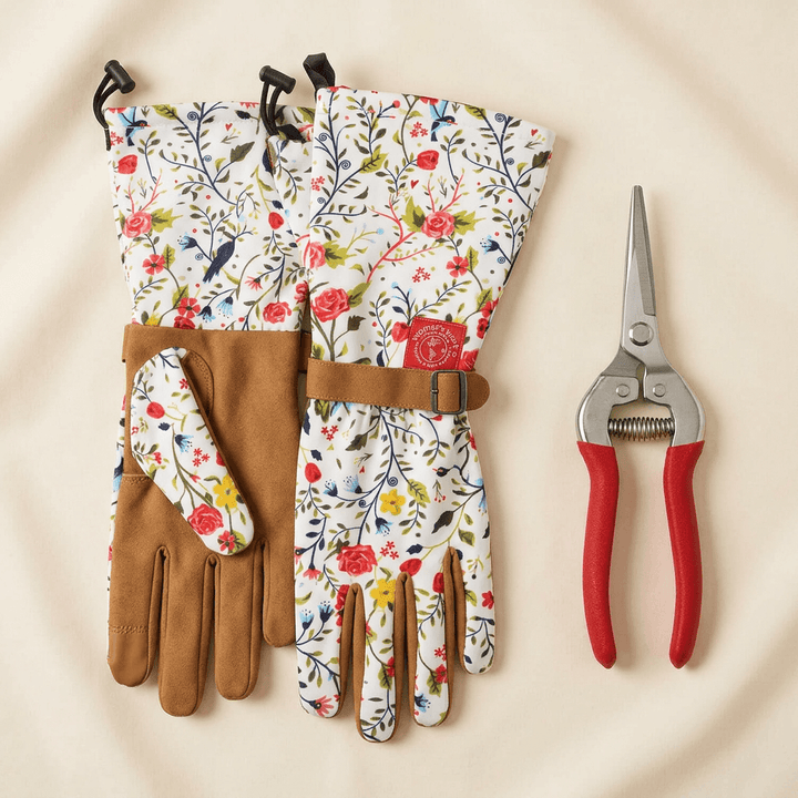 Garden of Paradise botanical long-cuff gardening gloves and red-handled pruning shears on an ivory background.